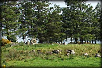 Loughmacrory from the East